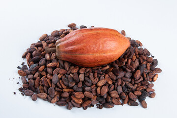 Cocoa fruit over raw cocoa beans on white background.