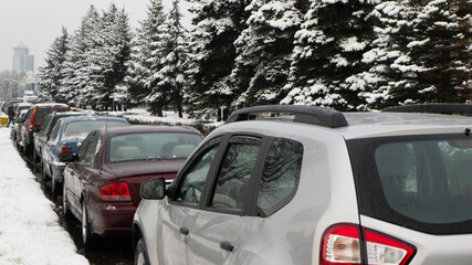 a row of cars parked along the sidewalk against the background of tall fir trees in winter