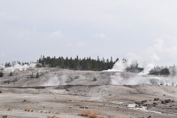 Geyser in Yellowstone National Park
