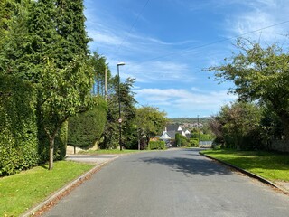 Fototapeta na wymiar View along, Hillway, with old trees, houses, and a blue sky in, Guiseley, Leeds, UK