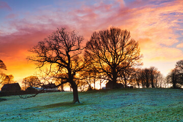 Fototapeta na wymiar Winter Landscape with a Silhouette of Trees at Sunset near Durham. England, UK.