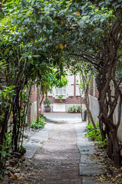 Historic Philadelphia Alley with a tree canopy over cobblestone street.  