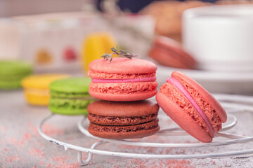 Colorful macarons over on grey background.