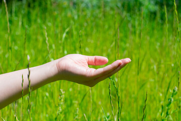 Young woman streches out hand with opened empty palm up above green grass at summertime on bright sunlight.