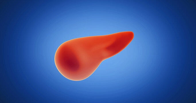 Pancreas x-ray style, internal organs 3D render, anatomy of the human body, blue background