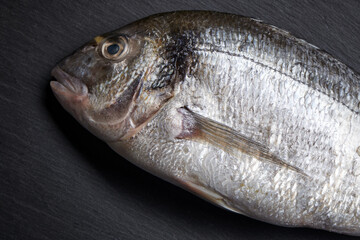 Fresh uncooked dorado fish on gray stone and kitchen table.