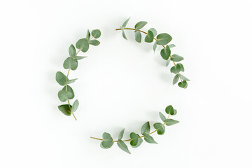 Wreath frame made of branches eucalyptus and leaves isolated on white background. Flat lay, top view