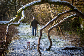 Naklejka premium walking in the countryside in snow in Scotland