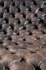 Obraz premium brown chester or chesterfield style armchair with buttons on animal skin cordoba argentina