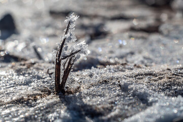 Vereiste Natur