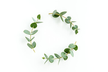 Wreath frame made of branches eucalyptus and leaves isolated on white background. Flat lay, top view