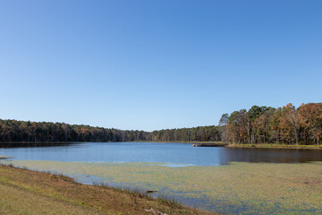 Pinewoods Lake in Mark Twain National Forest with fishing pier and lilly pads