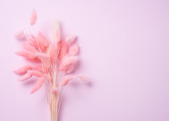Fototapeta na wymiar bouquet of pink dried flowers on a pink pastel background