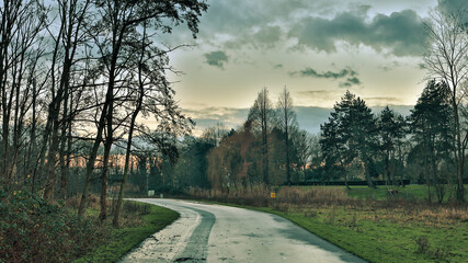 A path with trees on the side of a dirt field, winter