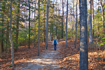 Fototapeta premium Woman taking advantage of the fall weather on a hiking trail