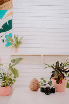 Smoothie Bar In Tulum