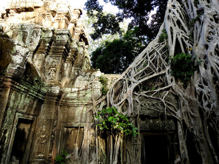 Angkor Wat. Ancient Khmer architecture, Ta Prohm temple ruins hidden in jungles. Popular travel...