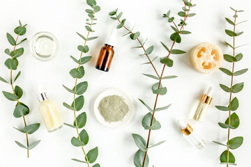 Eucalyptus essential oil, eucalyptus leaves on white background. Natural, Organic cosmetics...