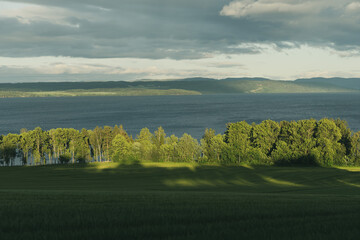 A field of Helgøya Island going down to Lake Mjøsa in summer.