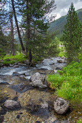 River flowing in the Pyrenees