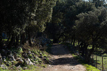 Bello paraje de la sierra de cadiz epaña