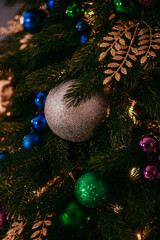 christmas tree, 