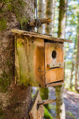 Birdhouse in a tree