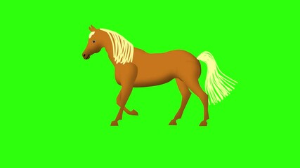 brown running  horse with white mane on green background. Isolated.Animation.