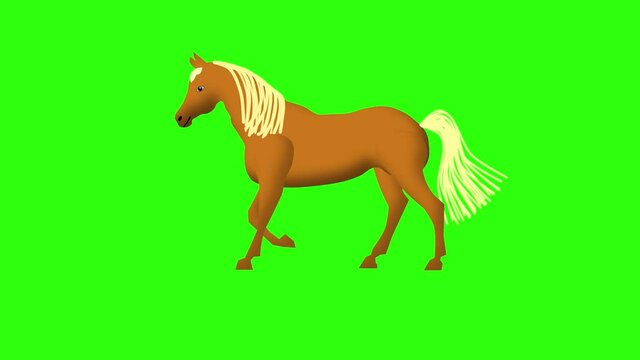 brown running  horse with white mane on green background. Isolated.Animation.
