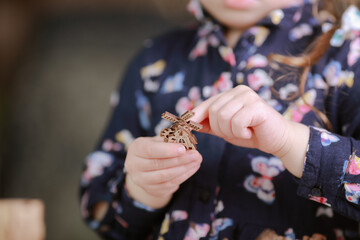 wooden construction set for collecting for children	