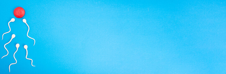 Active sperm swim in an egg on a blue background. The concept of pregnancy, fertilization of the egg. Top view with place for text