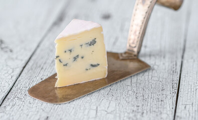 Blue cheese with white mould