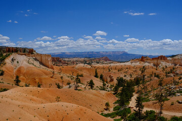 Fototapeta na wymiar bryce canyon nationalpark utah, red rock and blue sky