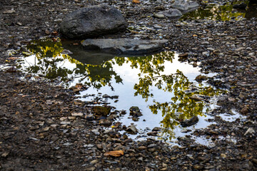 reflection from a rocky puddle