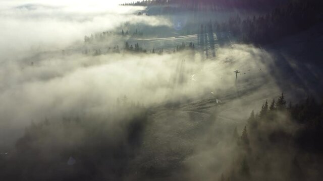 Shooting fog over the forest in the mountains. The sun's rays make their way