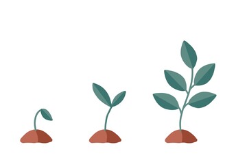 agriculture, biology, botanical, botany, care, cartoon, cute, decoration, decorative, desert, digital, ecology, elements, environment, exotic, flora, floral, flower, garden, gardening, graphic, green,