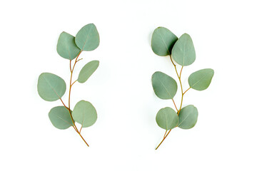 Obraz premium Wreath frame made of branches eucalyptus and leaves isolated on white background. Flat lay, top view