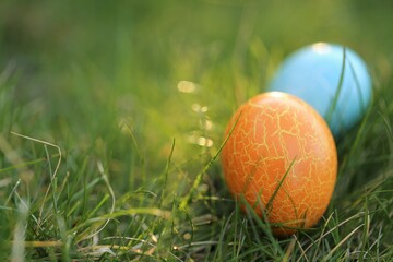 Easter egg hunt.Easter holiday. Searching for Easter eggs in the grass. Blue and orange Easter...
