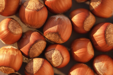 Close up of Hazelnut kernels - Food Frame Background