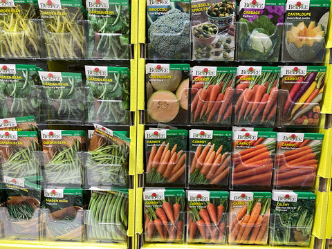 Forest Lake, Minnesota - January 14, 2021: Burpee brand vegetable garden seeds on sale at a Menards store, for the spring planting and gardening season