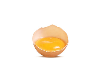 chicken egg brown on white background