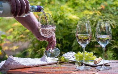 Pouring of Pinot gridgio rose wine for tasting on winery in Veneto, Italy. Glasses of cold dry wine...