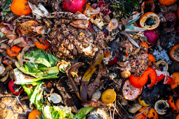 Organic waste and compost