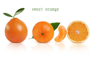 sweet and juicy orange on a white mirror background