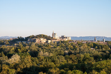 Panoramic view on old walls and palace of popes in ancient city Avignon, South of France