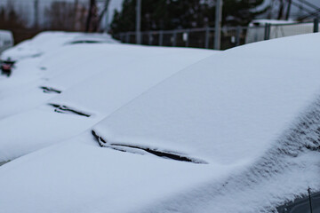 Several car windshields in a row in winter covered with snow with the closest one in focus