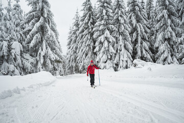 Kind mit roter Jacke beim Langlaufen im Winterwald