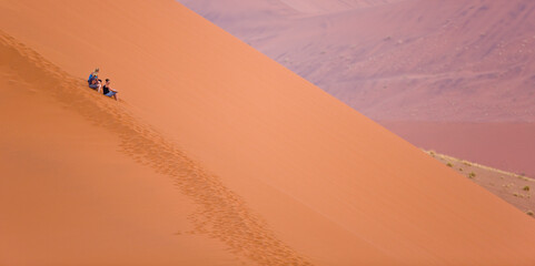 Fototapeta na wymiar Duna 45, Sossus Vlei, Sesriem, Parque Nacional Namib Naukluft, Desierto del Namib, Namibia, Afirca
