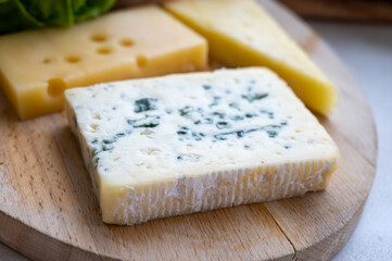 Cheese collection, French fol epi  cheese with many little holes, etorki, tomme noire des pyrenees and ossau iraty cheese