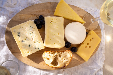 French cheese collection on marble board, emmental, carre de aurillac, petit cantal AOP Jeune, buche chevre, brie